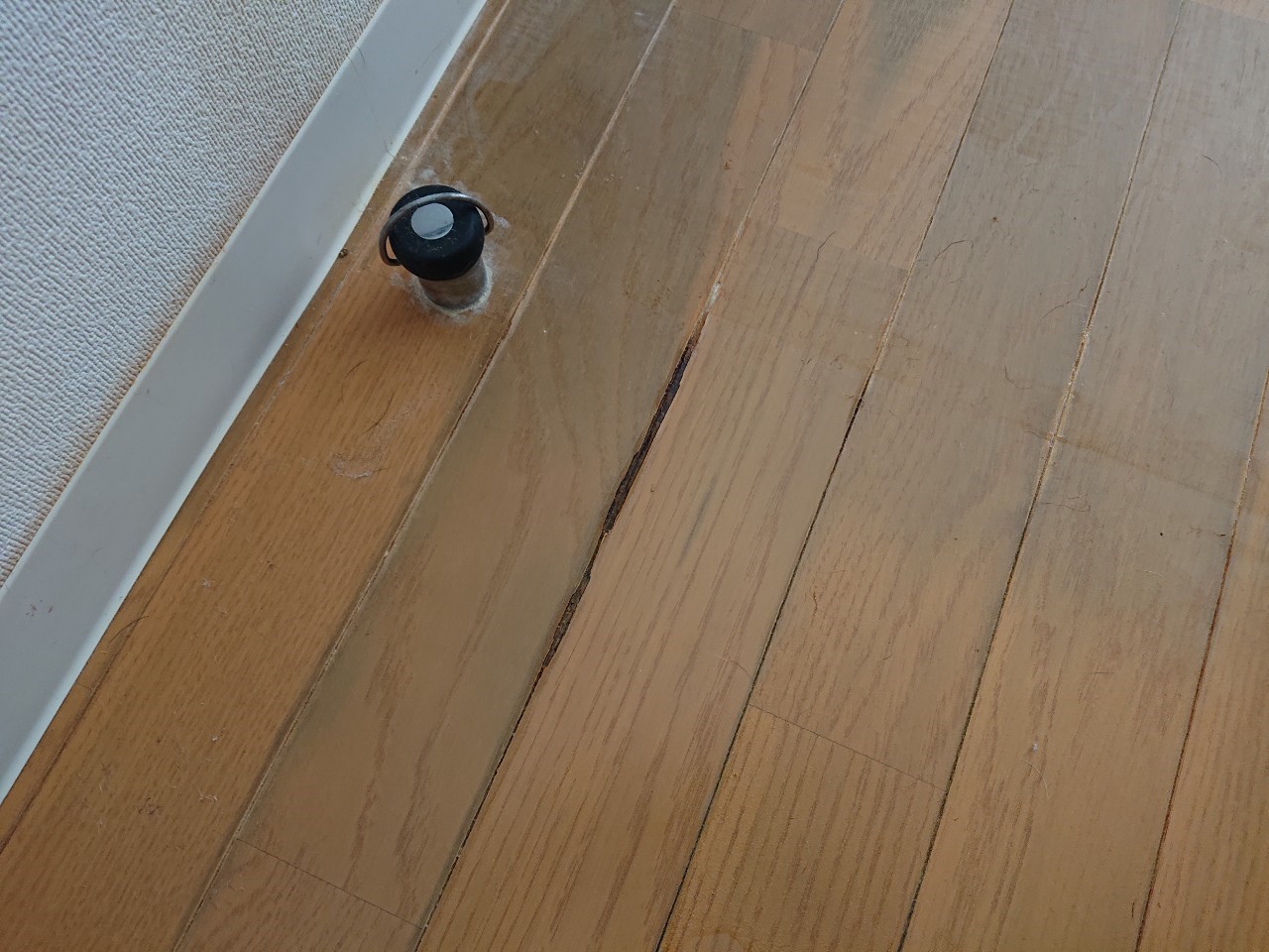 仙台 ペット傷リペア-フローリング補修
