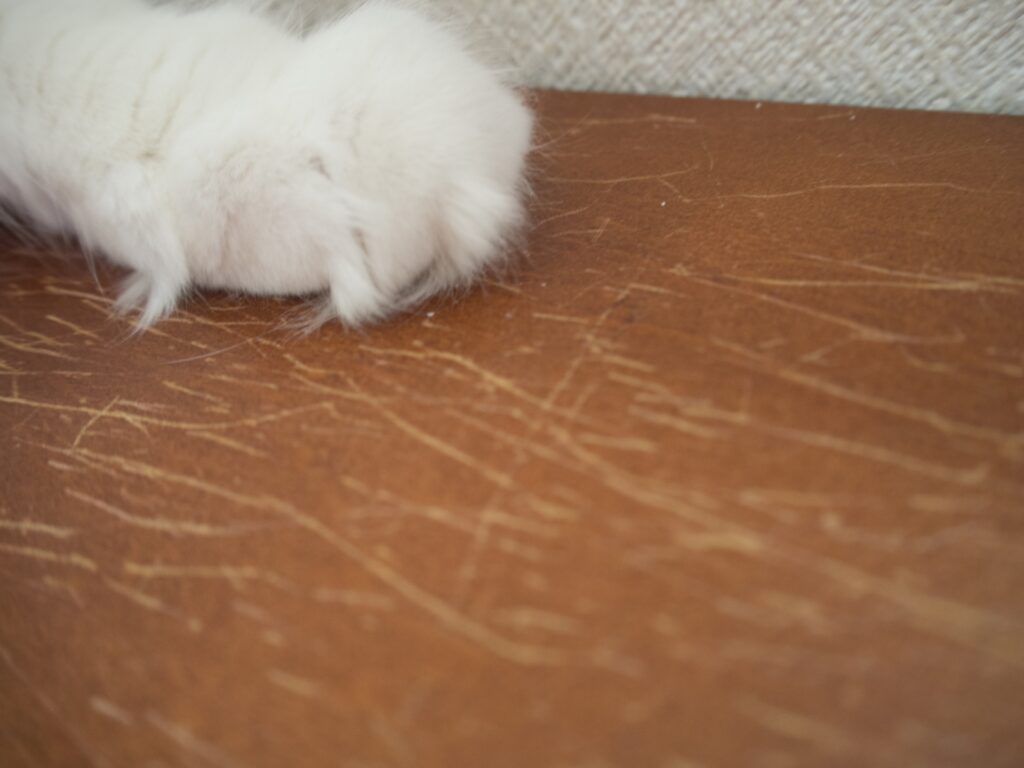 みちのくリペア仙台 リフォームとリペアの比較紹介まとめイメージ写真