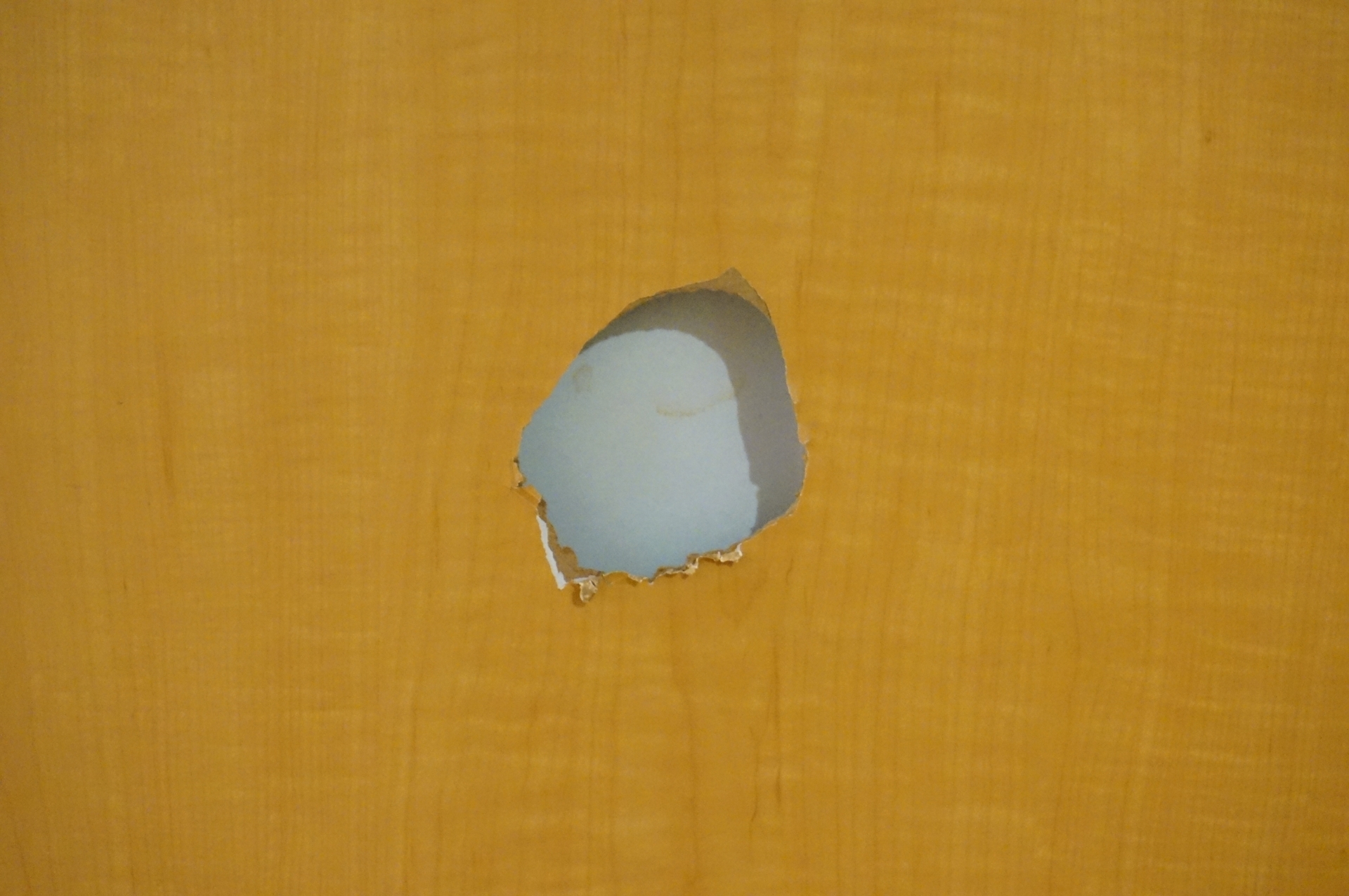 みちのくリペア仙台　ドア穴イメージ写真