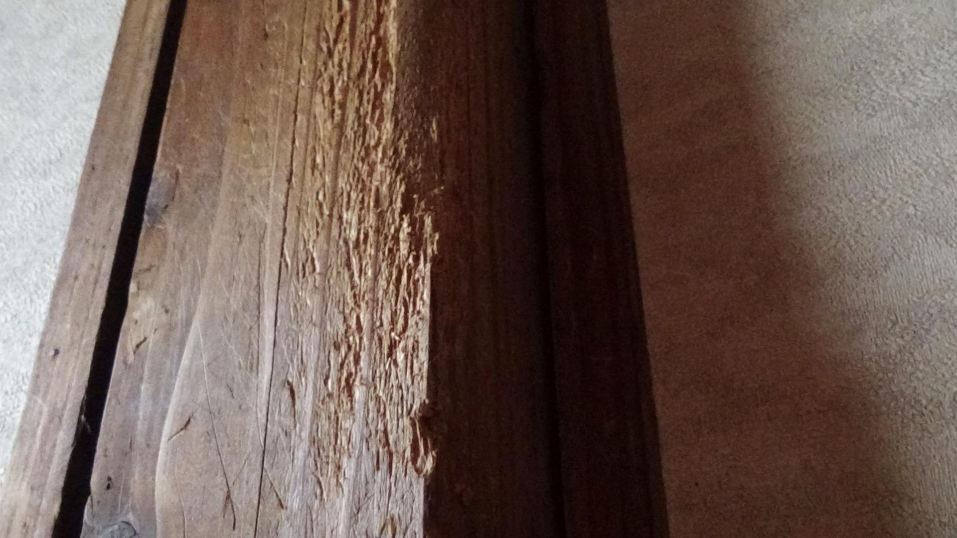 みちのくリペア仙台　柱キズイメージ画像